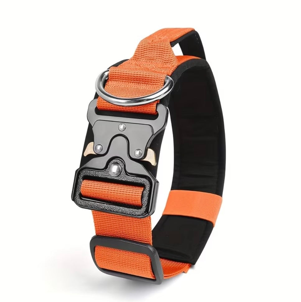 Professionelles taktisches Hundehalsband
