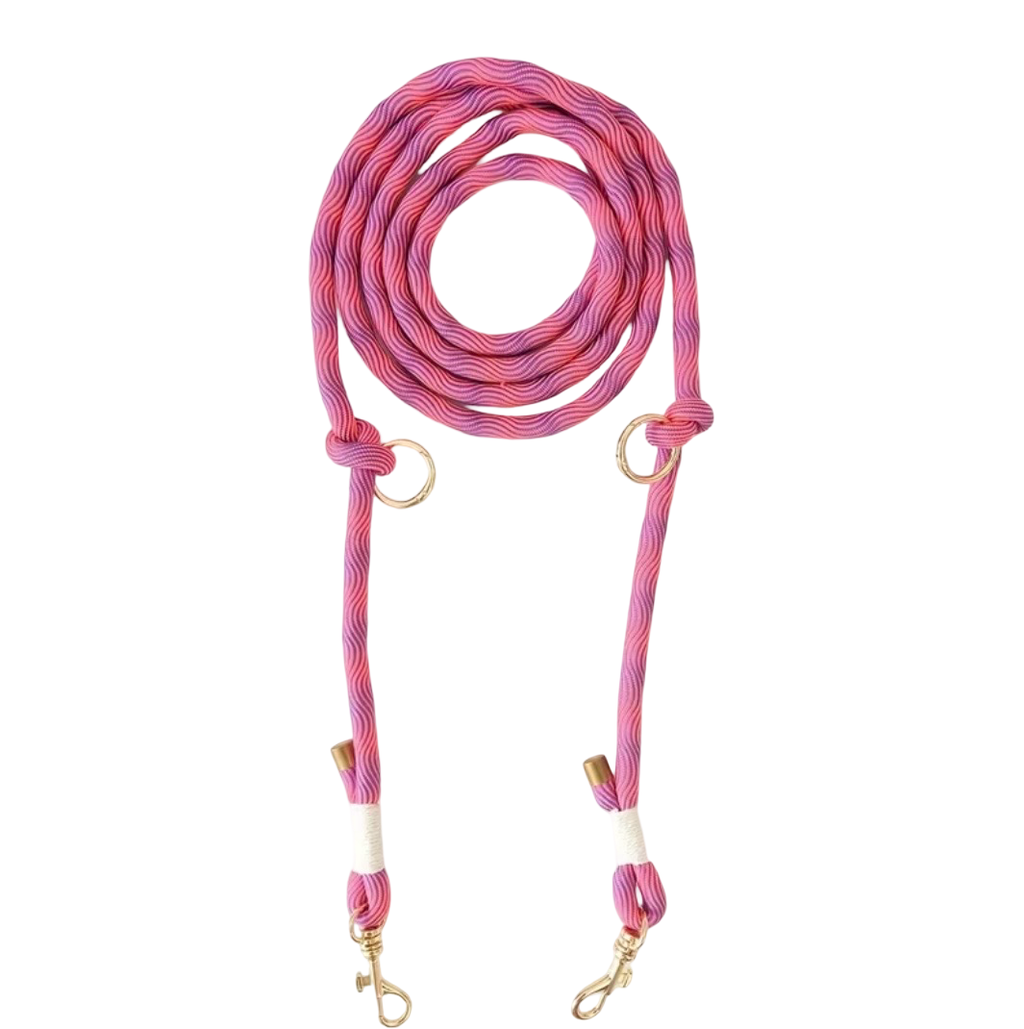 250cm lange Hundeleine