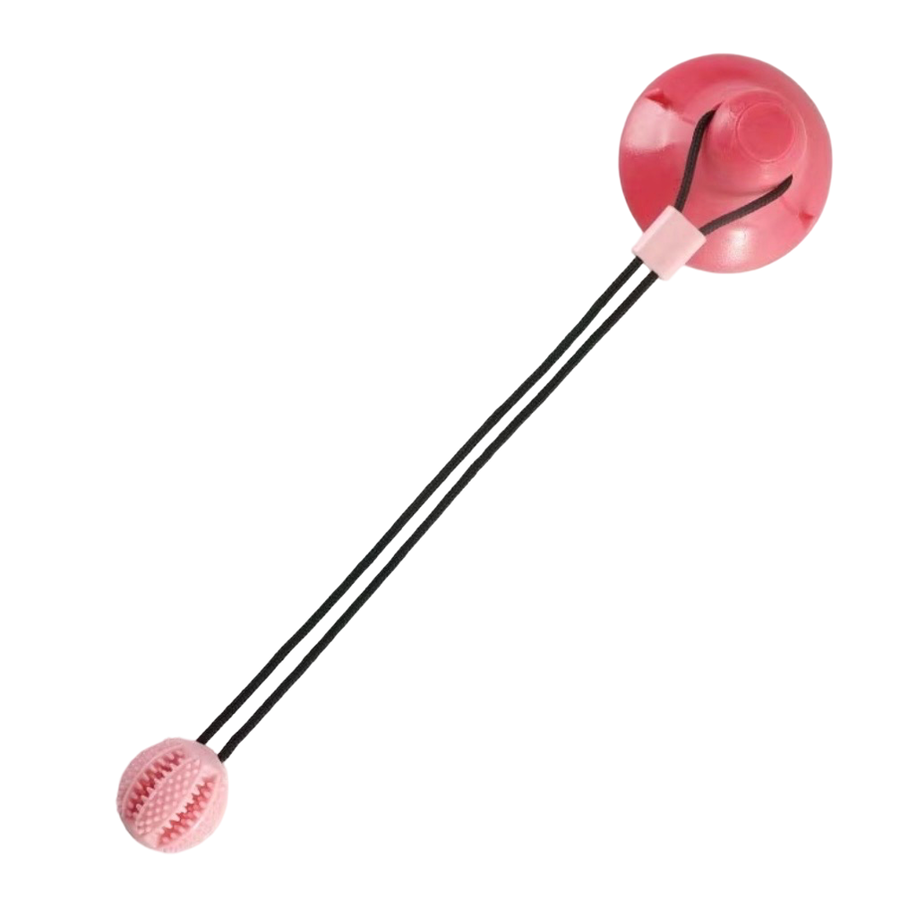 Interaktiver Saugknopf-Kauball für Hunde