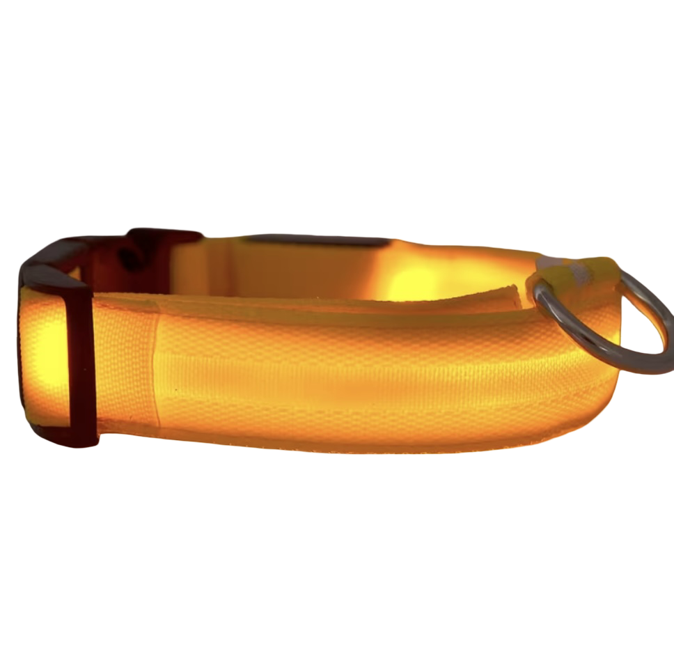 Leuchtendes LED Hundehalsband