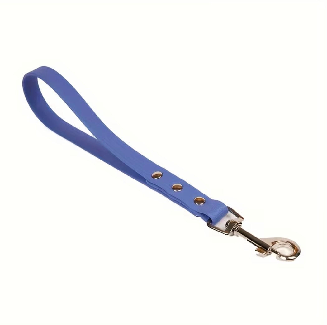 Kurzführer für Hunde