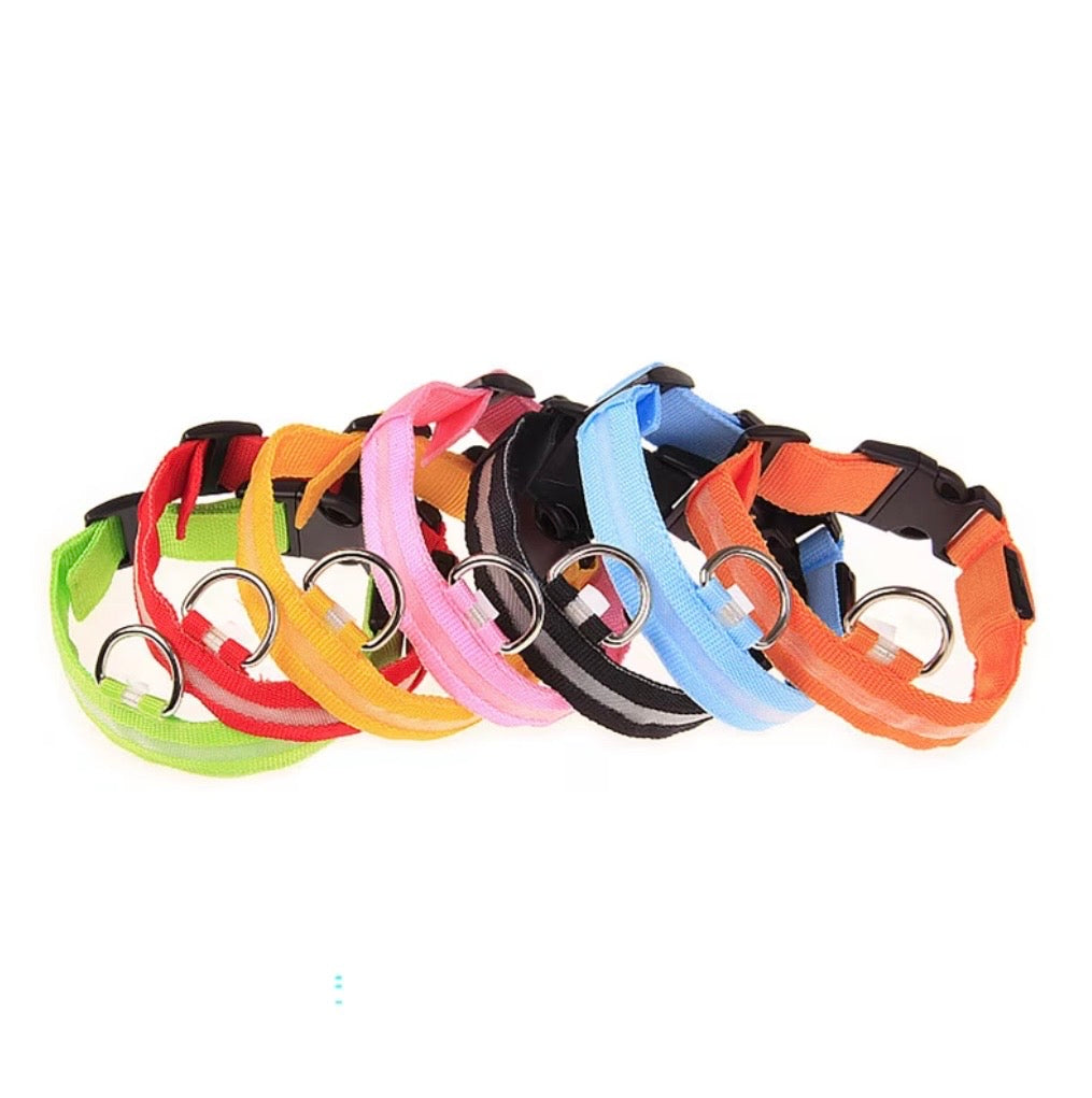 Leuchtendes LED Hundehalsband