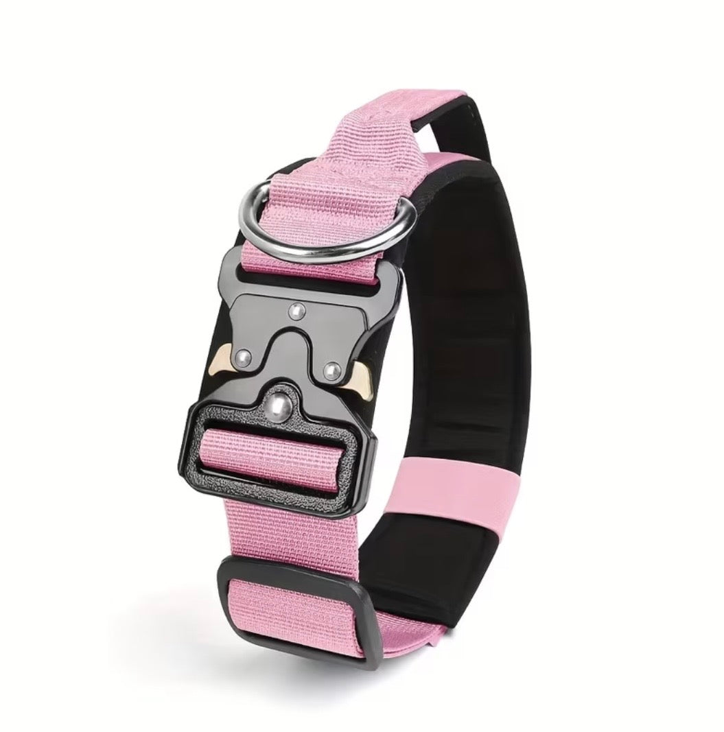 Professionelles taktisches Hundehalsband