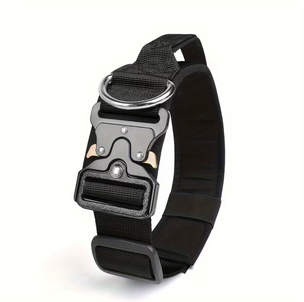 Professionelles taktisches Hundehalsband
