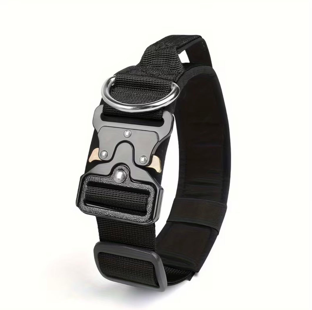 Professionelles taktisches Hundehalsband