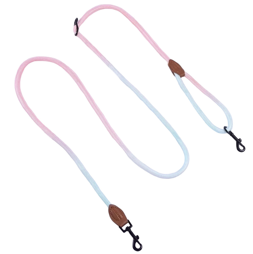 Hundeleine mit verstellbaren Clip