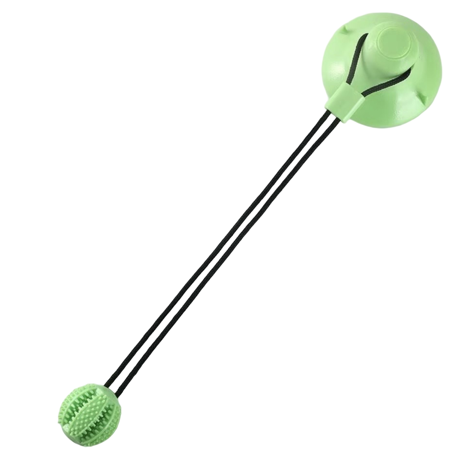 Interaktiver Saugknopf-Kauball für Hunde