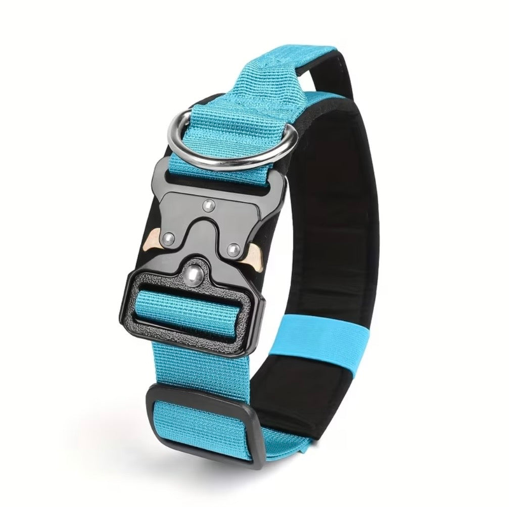 Professionelles taktisches Hundehalsband