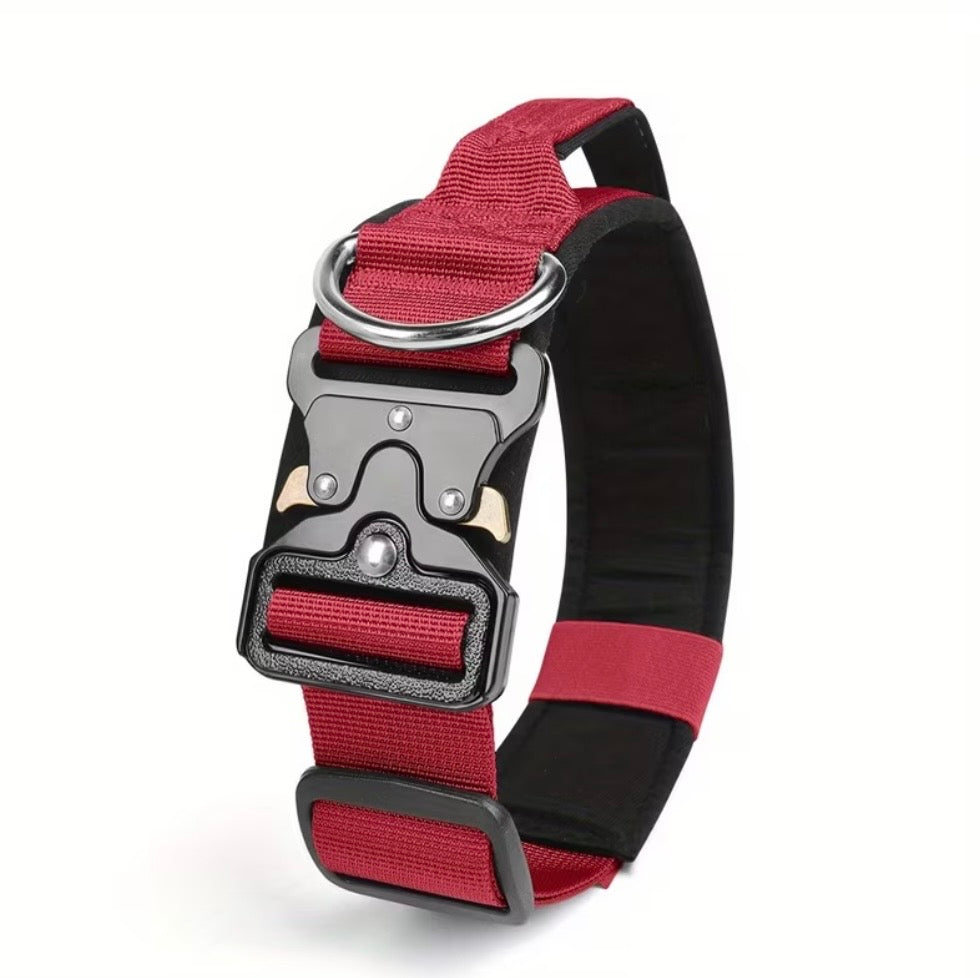 Professionelles taktisches Hundehalsband
