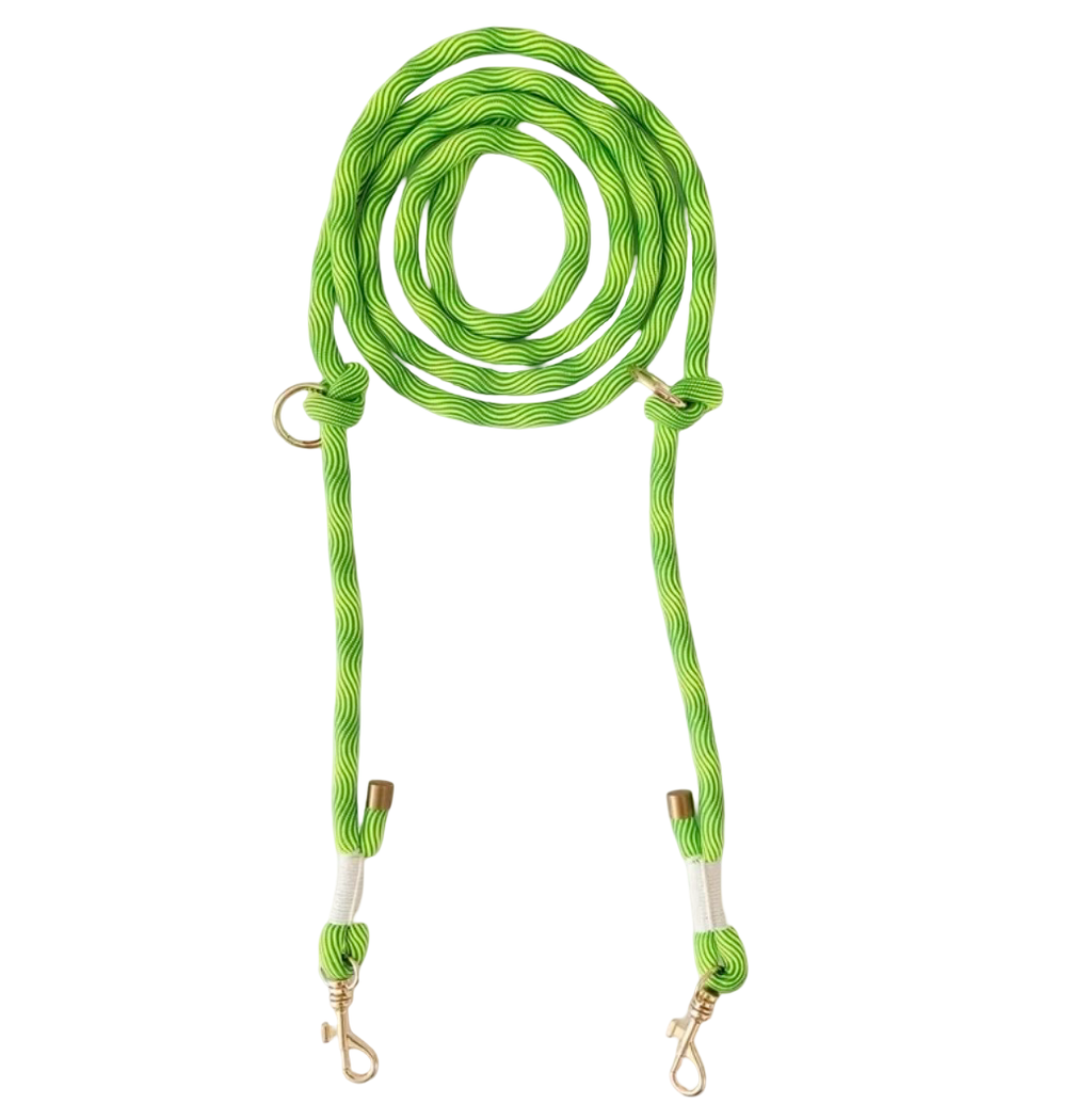 250cm lange Hundeleine