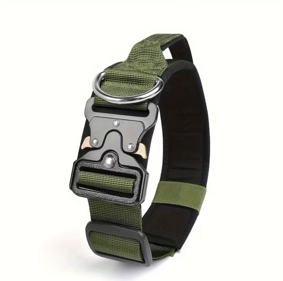 Professionelles taktisches Hundehalsband