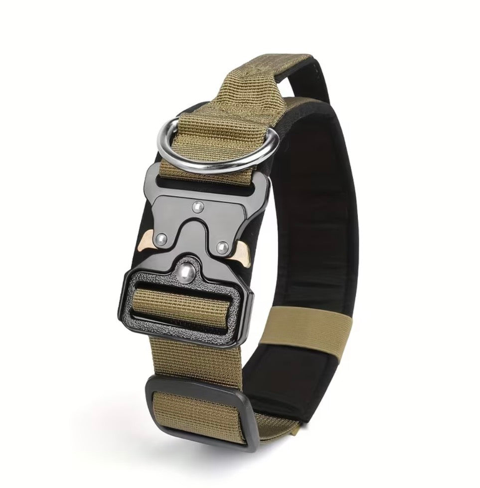 Professionelles taktisches Hundehalsband